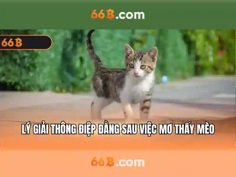 thong-tin-ung-dung-hoa-tro